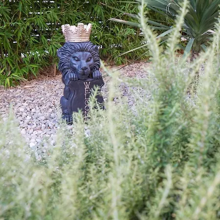 Del Alma * ספליט